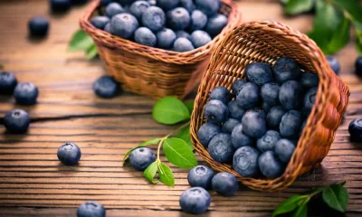 Blueberry Benefits