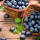 Blueberry Benefits