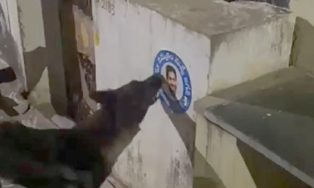 Dog Tearing Down CM Jagan Reddy Poster TDP Worker lodge Police Complaint