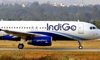 IndiGo airline 919 crores profit for IndiGo the country's largest airline