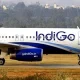 IndiGo airline 919 crores profit for IndiGo the country's largest airline