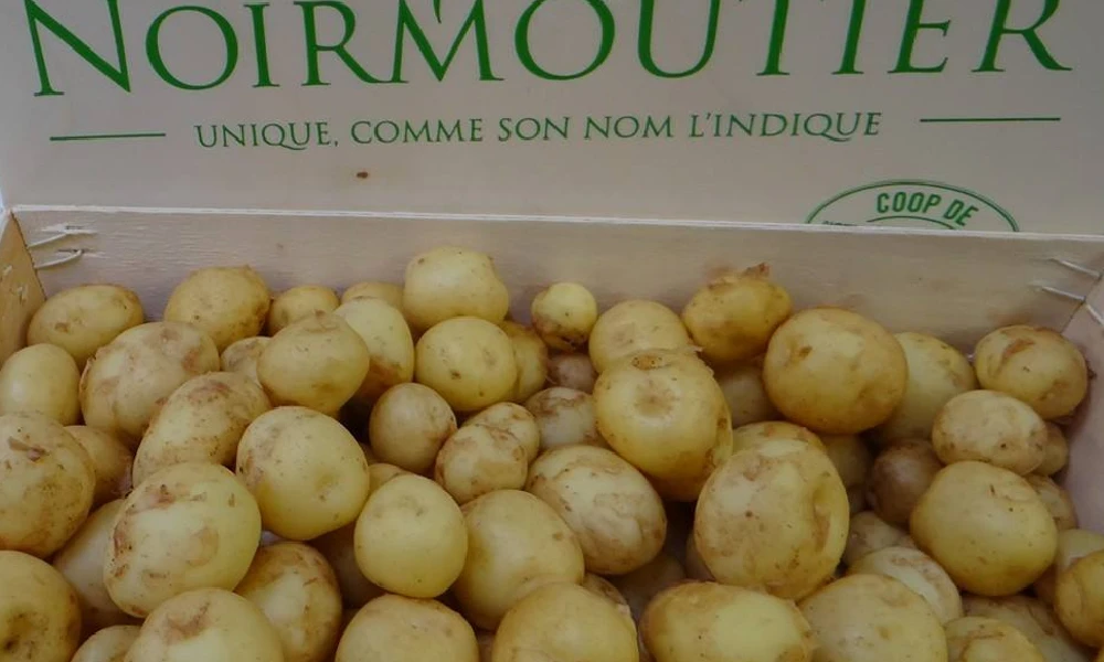 Le Bonnette Potato are world's most expensive potatos