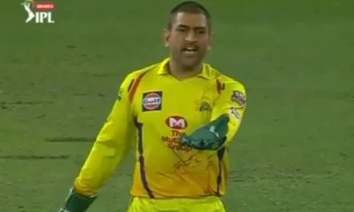 IPL 2023: Mahendra Singh Dhoni lost patience during the match; The video is viral