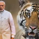 PM Narendra Modi safari