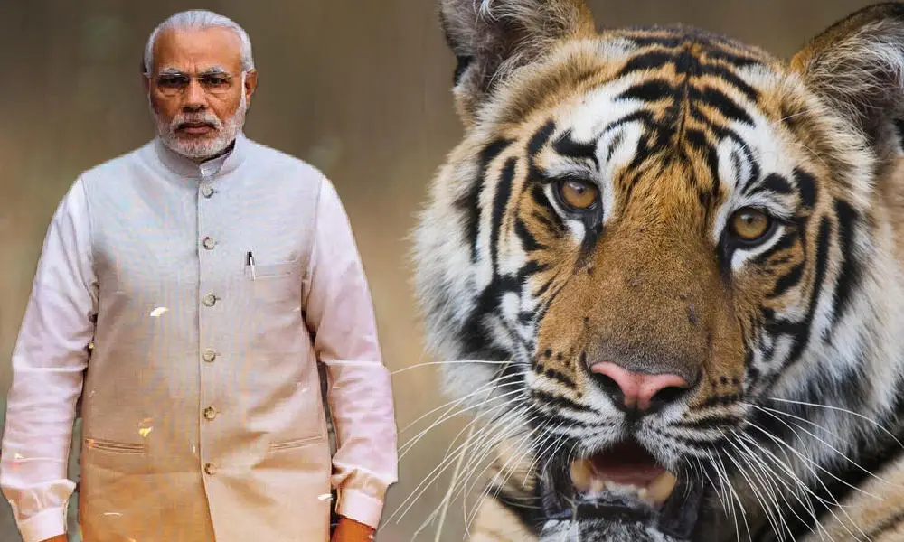 PM Narendra Modi safari