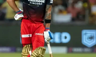 Most 50 Plus Scores In The IPL History