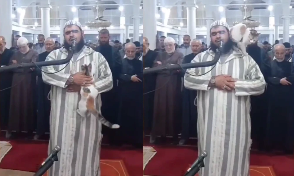 Cat jumps on imam During Ramadan prayer Viral Video