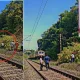A huge tree that fell on the track, A 70-year-old woman who survived a train accident