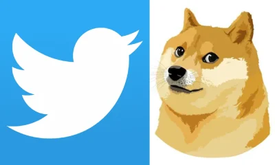 Elon Musk changed the logo of Twitter