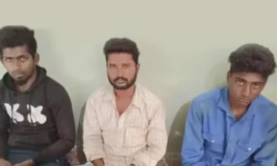 3 men held for biting off snake In Tamil Nadu