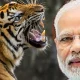 tiger prime minister