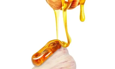 Benefits of Garlic and Honey