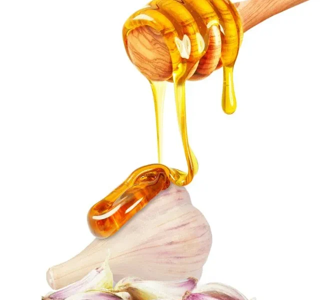 Benefits of Garlic and Honey