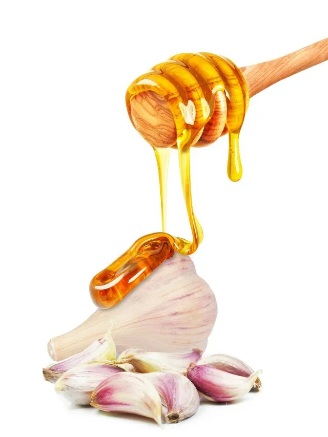 Benefits of Garlic and Honey: ಬೆಳ್ಳುಳ್ಳಿ, ಜೇನುತುಪ್ಪದ ಜಾದೂ ಹೇಗಿದೆ ನೋಡಿ!