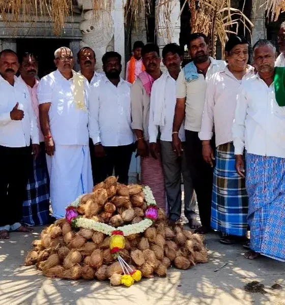 Harpanahalli Victory for MP Lata 371 coconuts broken