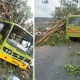tree falls on moving bus near gajendragada, 15 injured