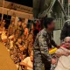 Operation Kaveri 1400 Indians evacuates from Sudan Says IAF