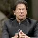 Imran Khan has been granted bail in Al Qadir Trust case