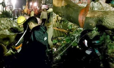 Peepal Tree Falls and killed 2 People In Haridwar