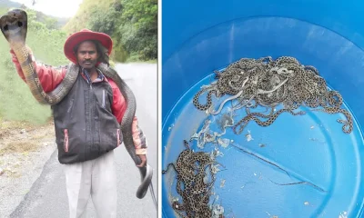 Snake catcher Naresh and his house