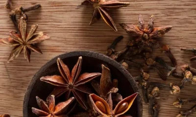 Star Anise For Health image