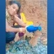 Video Shows Man Picking Feathers Off Peacock For Fun In Madhya Pradesh, Creates Uproar