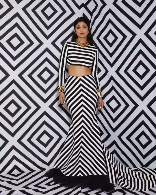 Zebra Strips Print Fashion