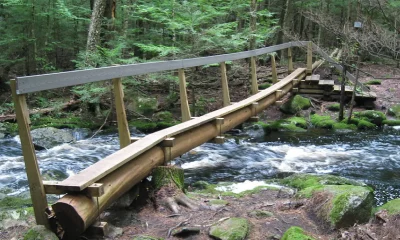 foot bridge