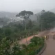 Rain in Kodagu Karnataka Weather Report