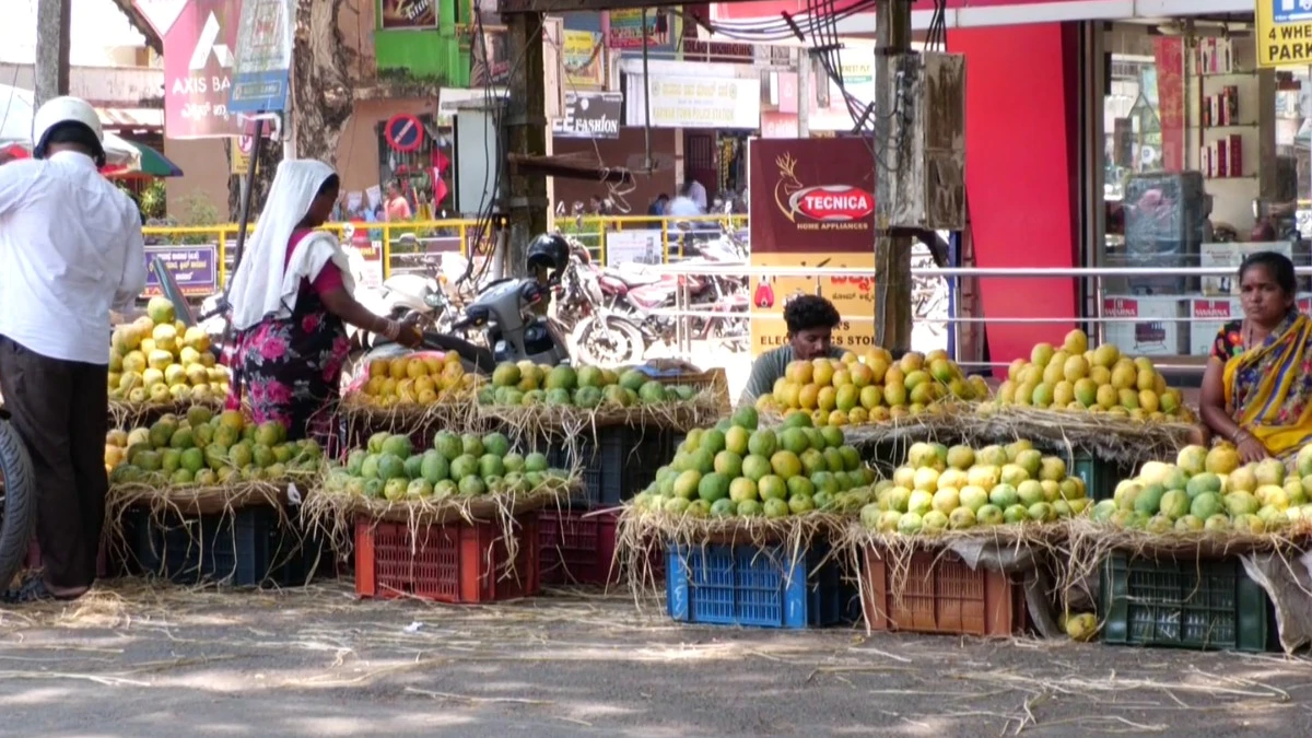mango in karwar