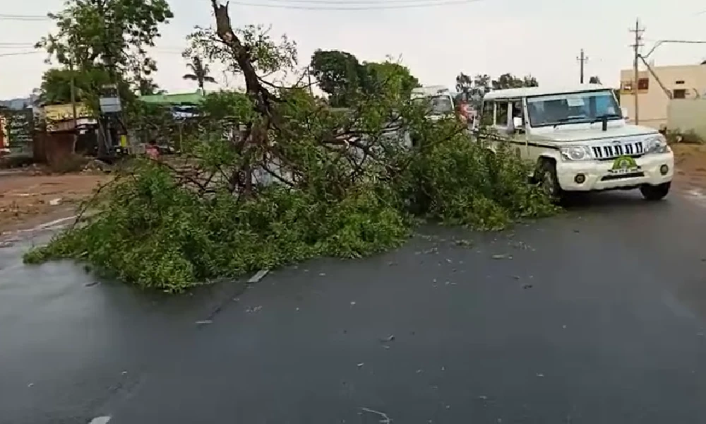 rain effect tree fall