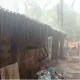 karwali rain
