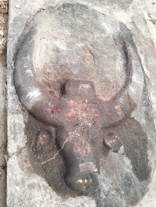 Ancient remains Gosasa stone in shikaripura 