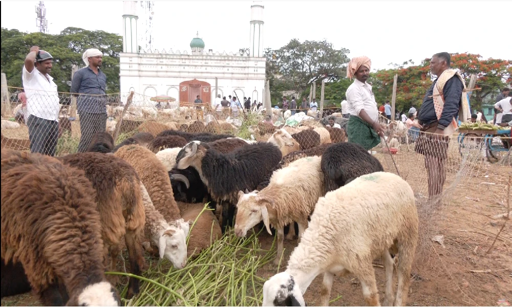 Eid al Adha at chamrajpet