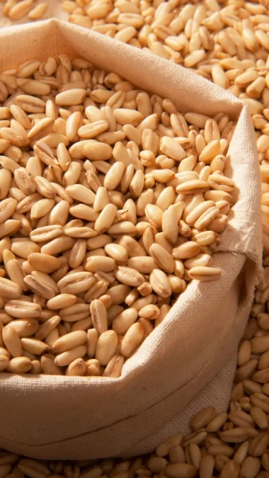 Barley for Hot Flashes During Period