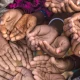 Bihar Children Forced To Make Bangles In Jaipur Of Rajasthan