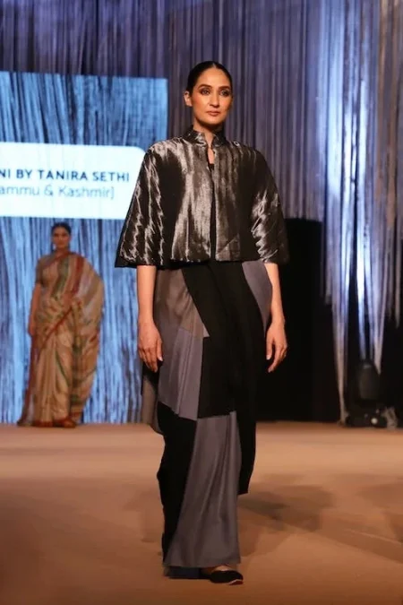 Collar blouse in saree fashion