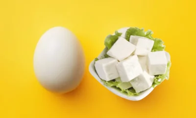 Eggs Vs Paneer