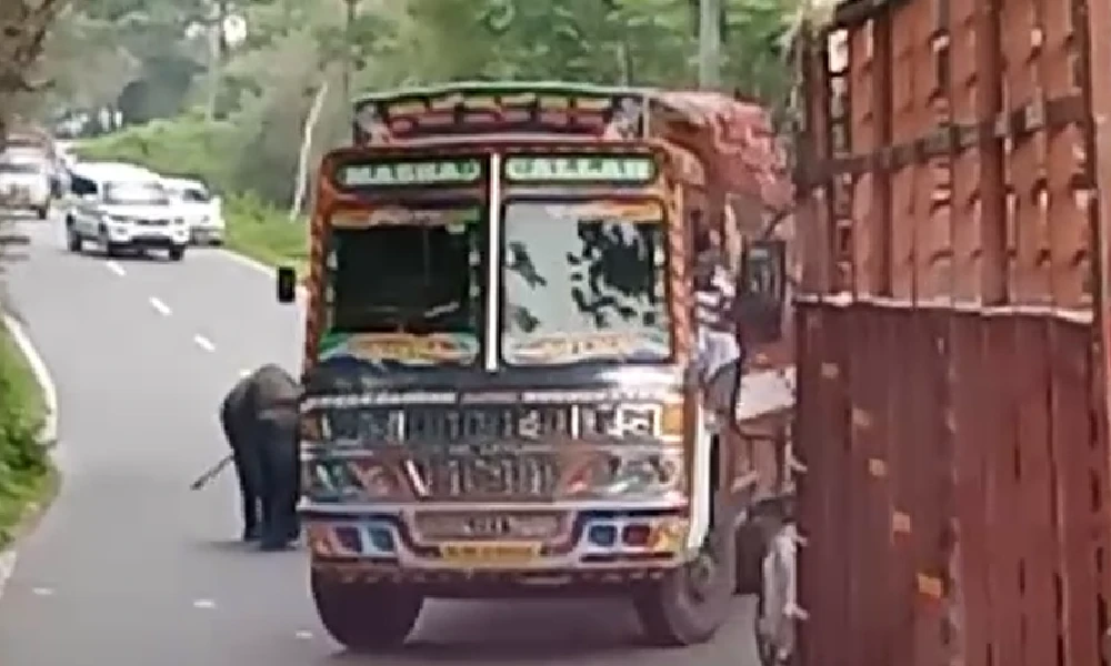 Chamarajnagara national highway Elephant Attack