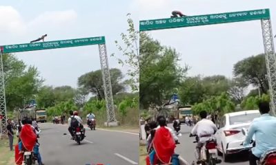 Man Push Ups On Highway Signboard