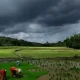 Monsoon In India