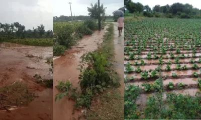 Rain In mysore