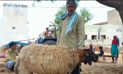 Raju singh With Lamb