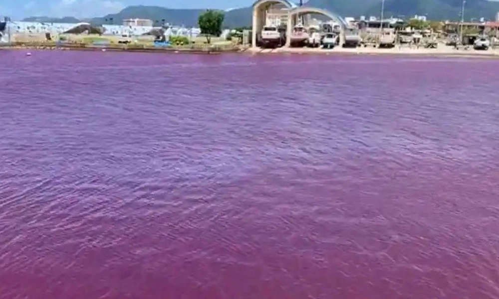 River turns Red colour