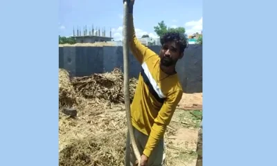 Snake rescue in Mariammanahalli
