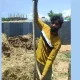 Snake rescue in Mariammanahalli