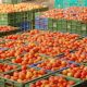Tomato Price Hike In Various States