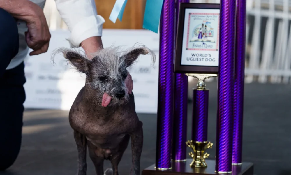 Ugliest Dog with Trophy