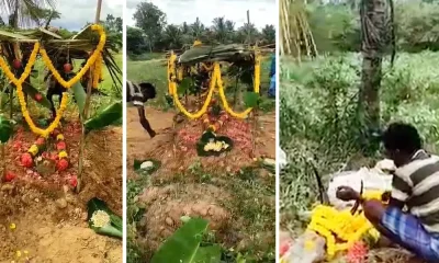 Farmer cries over cow death in tumkur and last rites of the cow were performed Video Viral