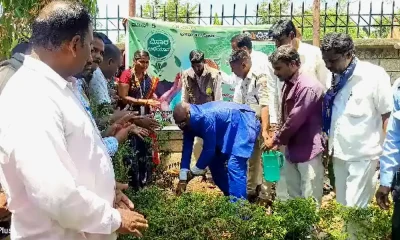 World Environment Day celebration in Chincholi